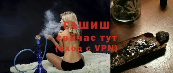 стаф Богородск