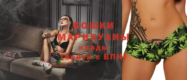 гидра Богданович