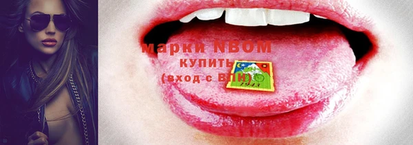 гидра Богданович