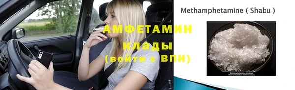 гидра Богданович