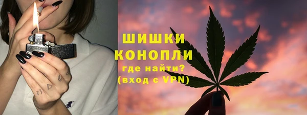 стаф Богородск