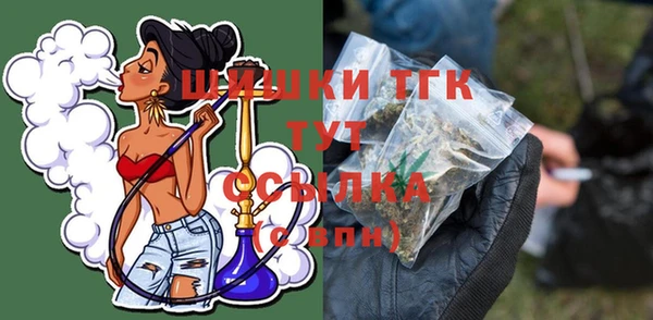 стаф Богородск