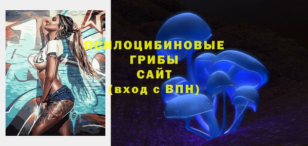 гидра Богданович