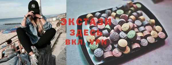 гидра Богданович