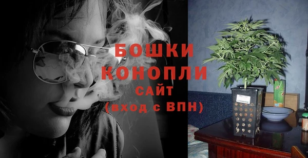 стаф Богородск