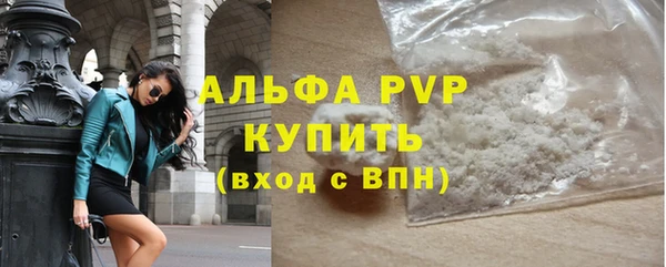 стаф Богородск