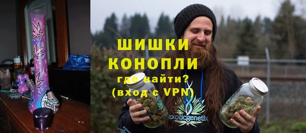 гидра Богданович