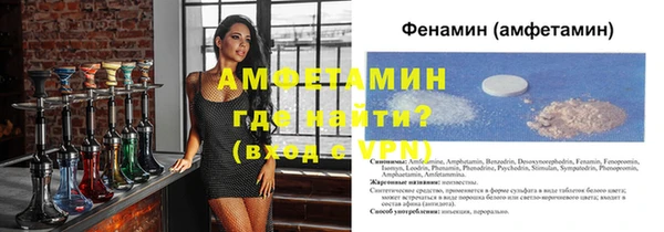 гидра Богданович